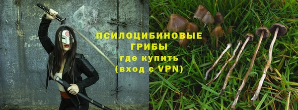 PSILOCYBIN Алексин