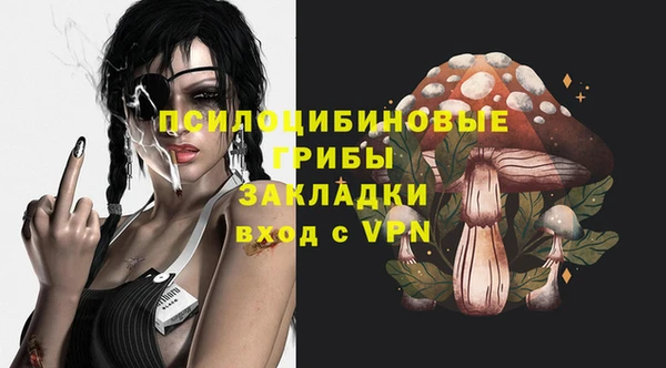 PSILOCYBIN Алексин