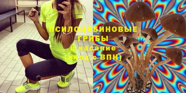 PSILOCYBIN Алексин