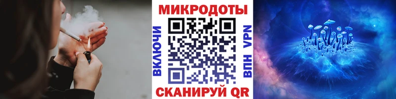 Псилоцибиновые грибы GOLDEN TEACHER  закладка  Большой Камень 