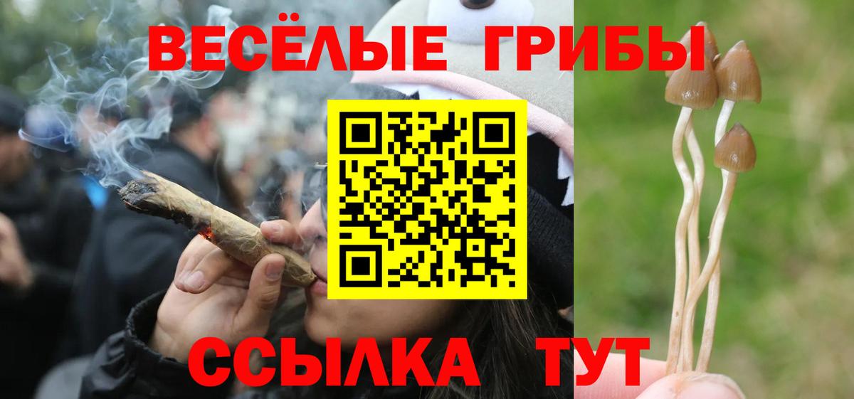 Галлюциногенные грибы мицелий  Вход с VPN  Большой Камень 