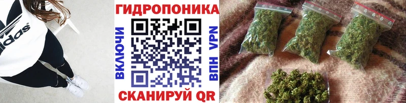 Канабис Amnesia  MEGA tor  Большой Камень 